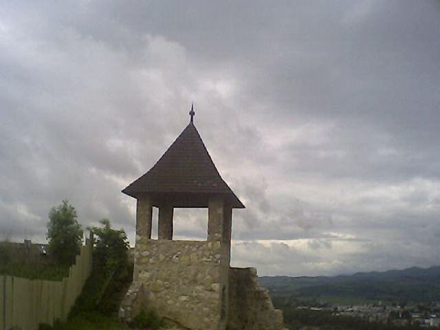 photo44.jpg